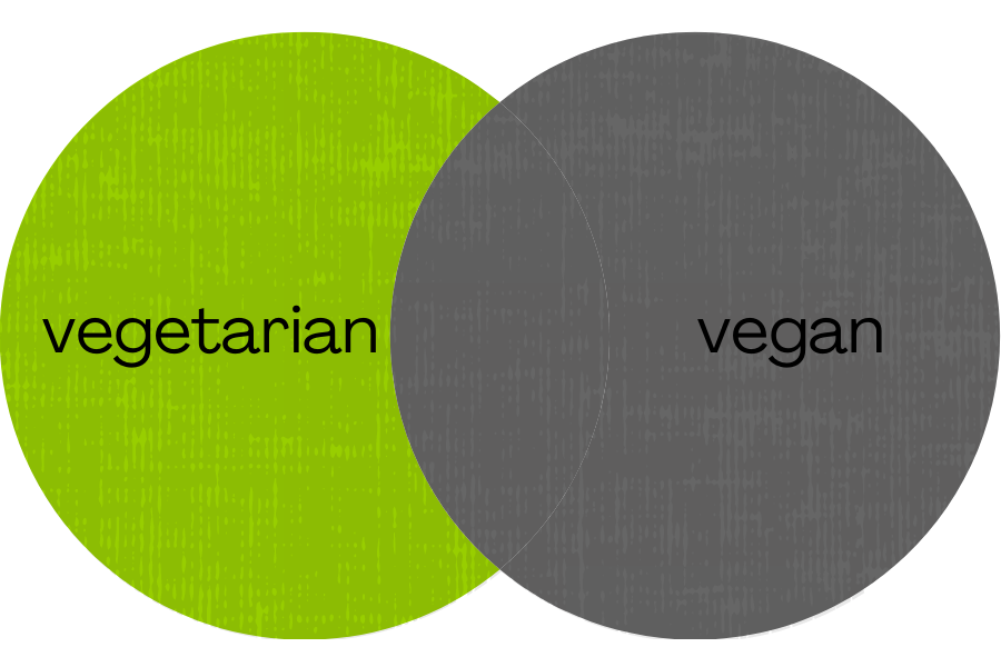 Venn diagram of vegetarian and vegan where just vegetarian is shaded to represent the search connector NOT
